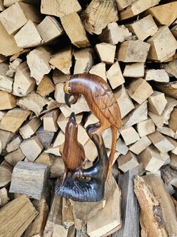 Vogels (ca 35 cm)