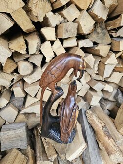 Vogels (ca 35 cm)