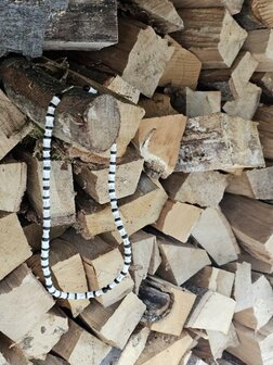 Ketting