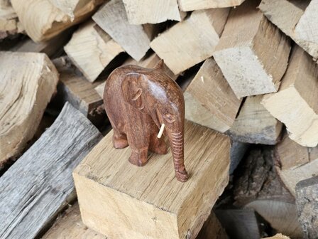 Olifant (ca. 10cm hoog)