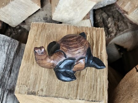 Schildpad (ca. 10cm)