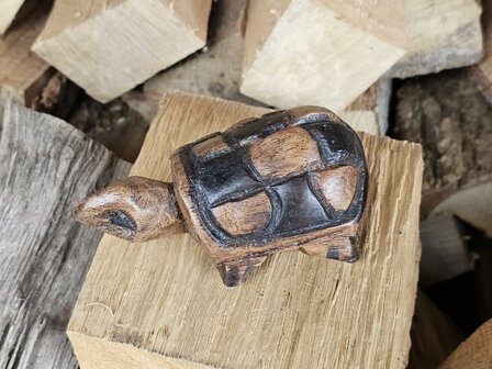 Schildpad (ca. 12cm)