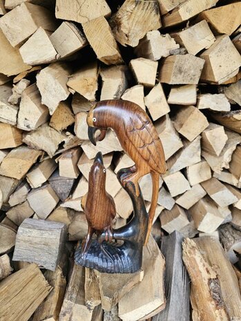 Vogels (ca 35 cm)