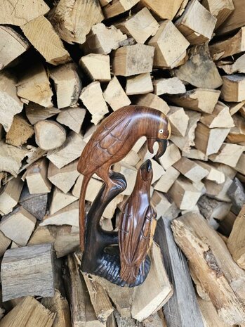 Vogels (ca 35 cm)